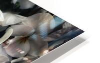 V1095 HD Metal print