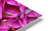 V1099 HD Metal print