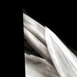 V1103 HD Metal print