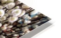 V1104 HD Metal print