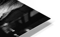 V1111 HD Metal print
