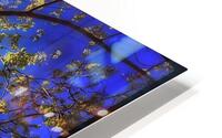 V1124 HD Metal print