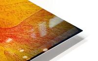 V1131 HD Metal print