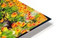 V1137 HD Metal print