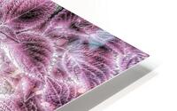 V1187 HD Metal print