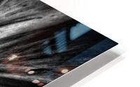 V1194 HD Metal print