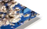 V1203 HD Metal print