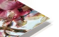 V1204 HD Metal print