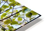 V1205 HD Metal print