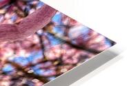 V1206 HD Metal print