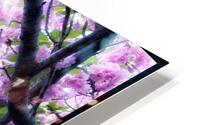 V1208 HD Metal print