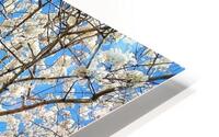 V1210 HD Metal print