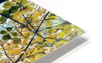 V1211 HD Metal print