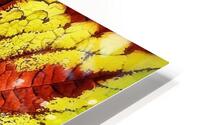 V1212 HD Metal print