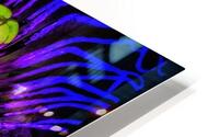 V1219 HD Metal print