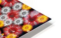 V1240 HD Metal print