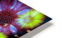 V1244 HD Metal print