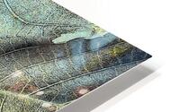 V1245 HD Metal print