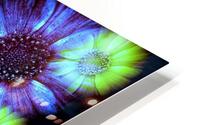 V1247 HD Metal print