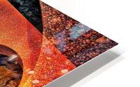V1257 HD Metal print