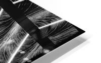 V1269 HD Metal print