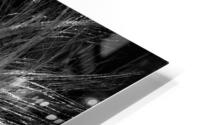 V1277 HD Metal print
