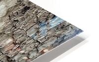 V1278 HD Metal print