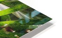V1279 HD Metal print