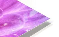 V1284 HD Metal print