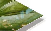 V1294 HD Metal print