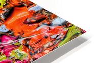 V1309 HD Metal print