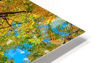 V1333 HD Metal print