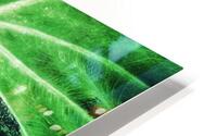 V1353 HD Metal print