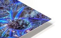 V1360 HD Metal print