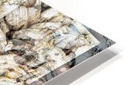 V1361 HD Metal print