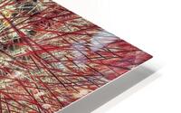 V1362 HD Metal print