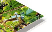 V1367 HD Metal print