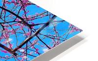 V1368 HD Metal print