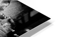 V1384 HD Metal print