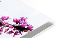 V1385 HD Metal print