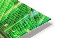 V1393 HD Metal print