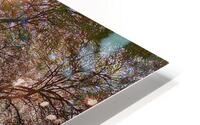 V1395 HD Metal print