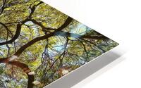 V1397 HD Metal print