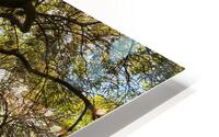V1399 HD Metal print