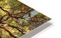 V1401 HD Metal print