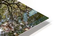 V1403 HD Metal print