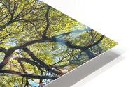 V1405 HD Metal print