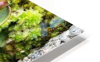 V1406 HD Metal print