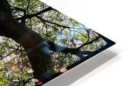 V1445 HD Metal print