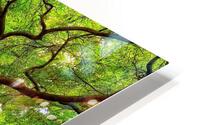 V1447 HD Metal print